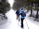 Alpine Peaks, Tahoe City, CA