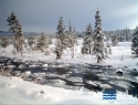 Truckee River, Tahoe City, Truckee CA